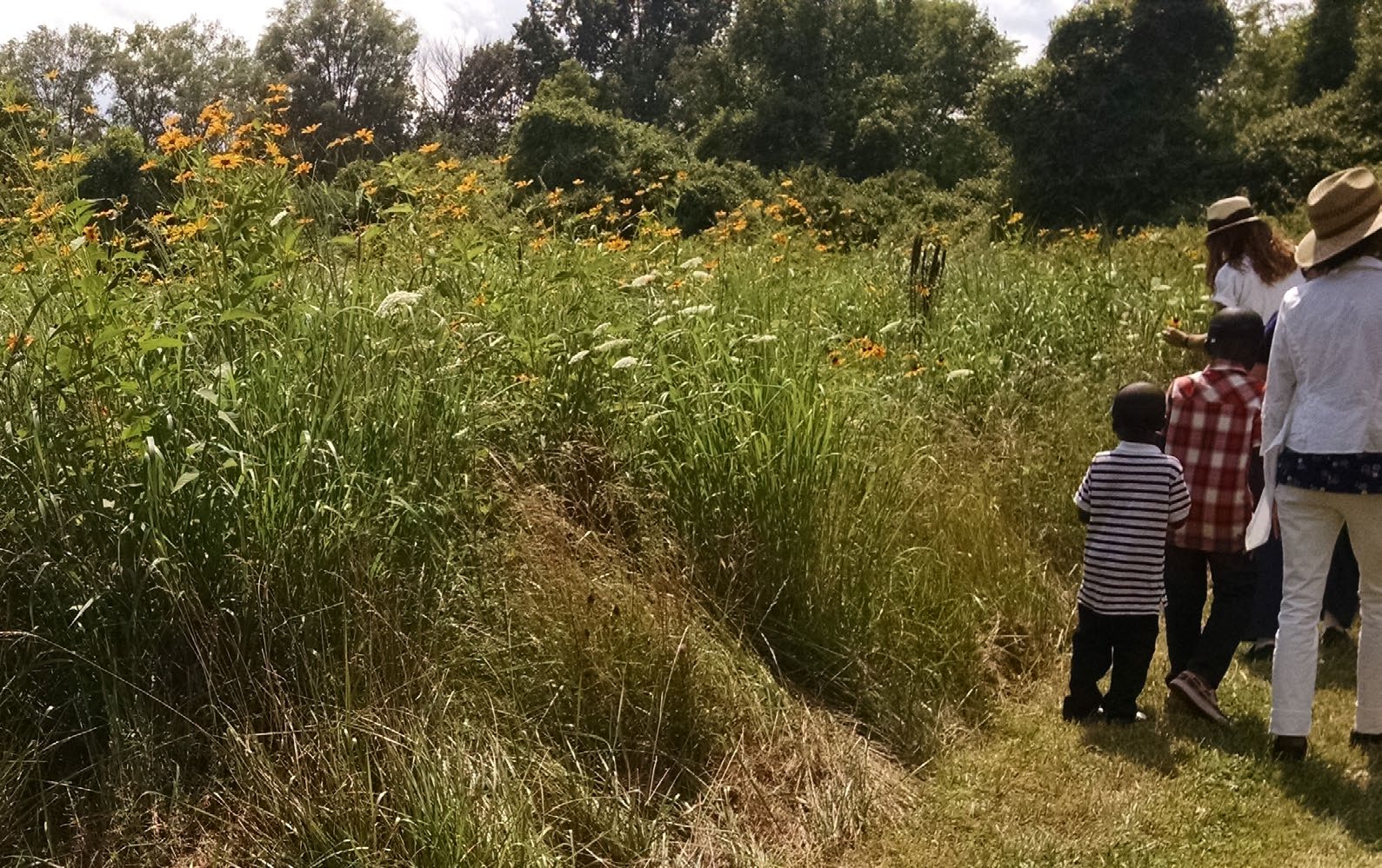 Rouge Prairie - butterfly walk 