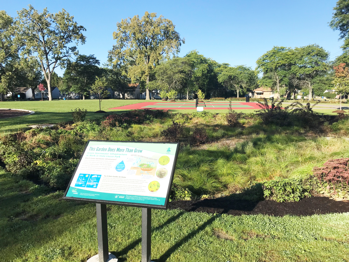 Raingarden at Viola Liuzzo park