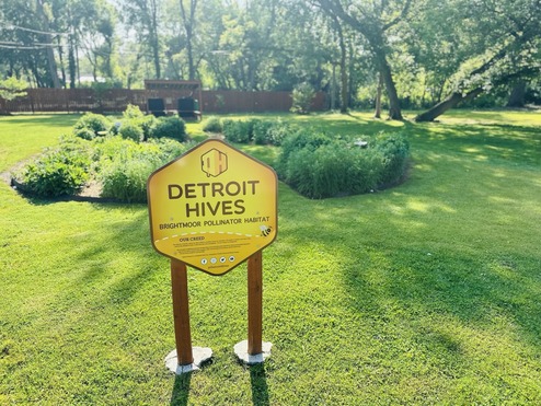 Detroit Bee City pic2