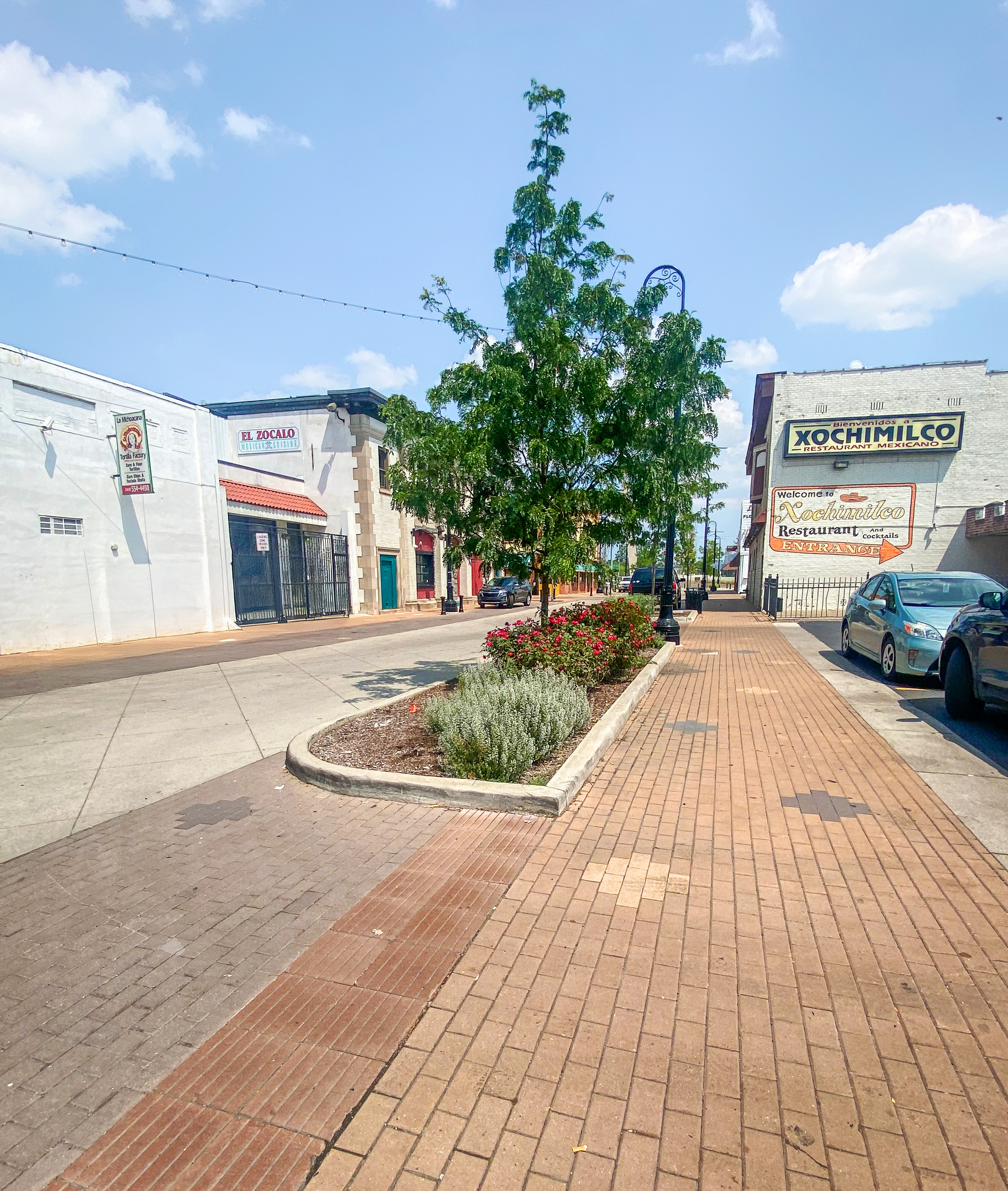 Bagley Streetscape