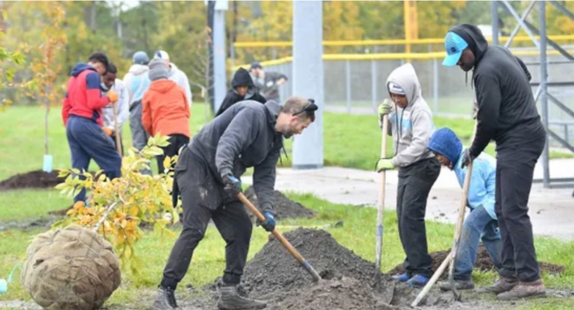 Park Stewardship